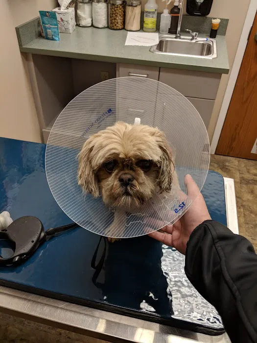 Greece Animal Hospital 3