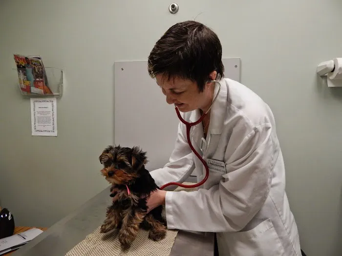 Greece Animal Hospital 7