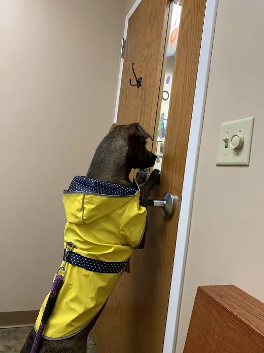 Greece Animal Hospital 9