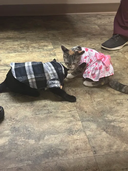 Greece Animal Hospital 5