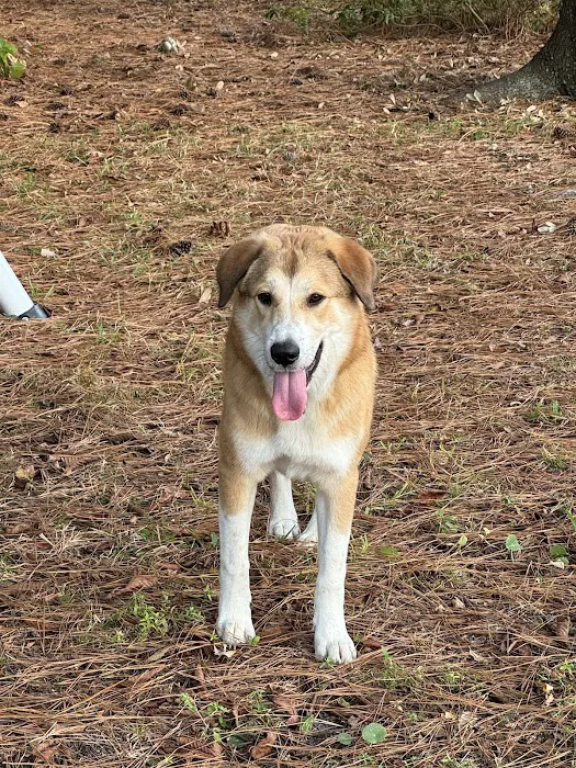 Ark Animal Hospital 6