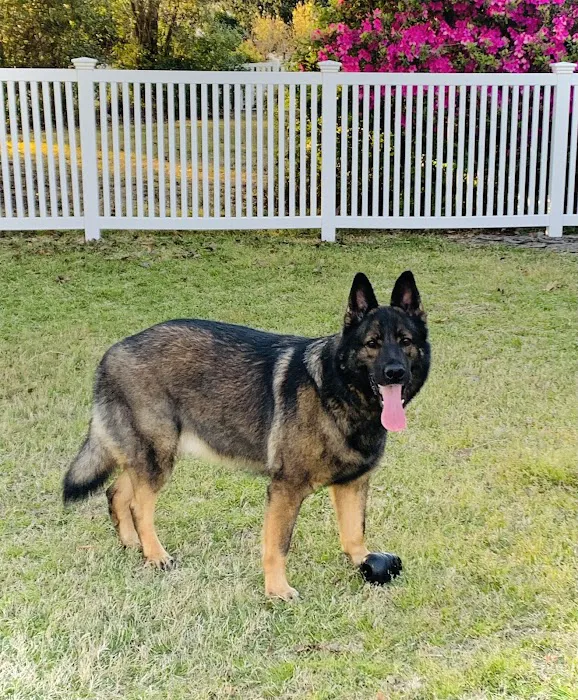 Ark Animal Hospital 8