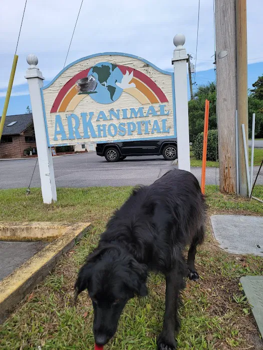 Ark Animal Hospital 3