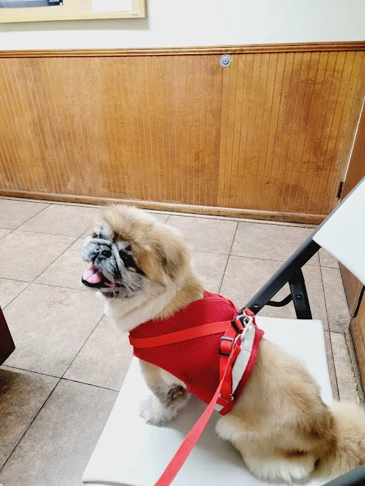 Ark Animal Hospital 1