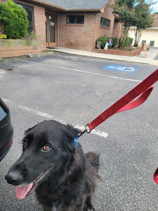 Ark Animal Hospital 5