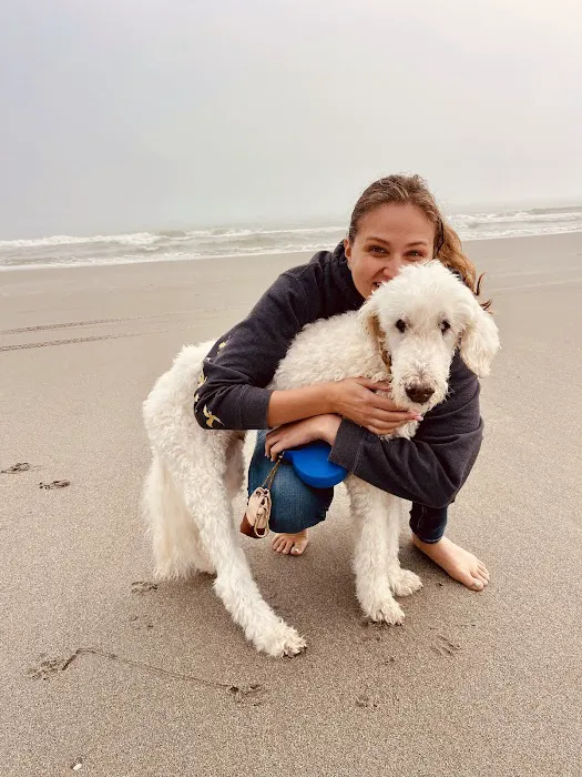 On Point Animal Wellness 1