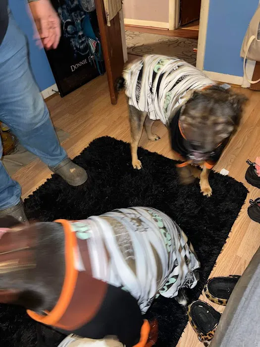 Scotland Veterinary Hospital 8