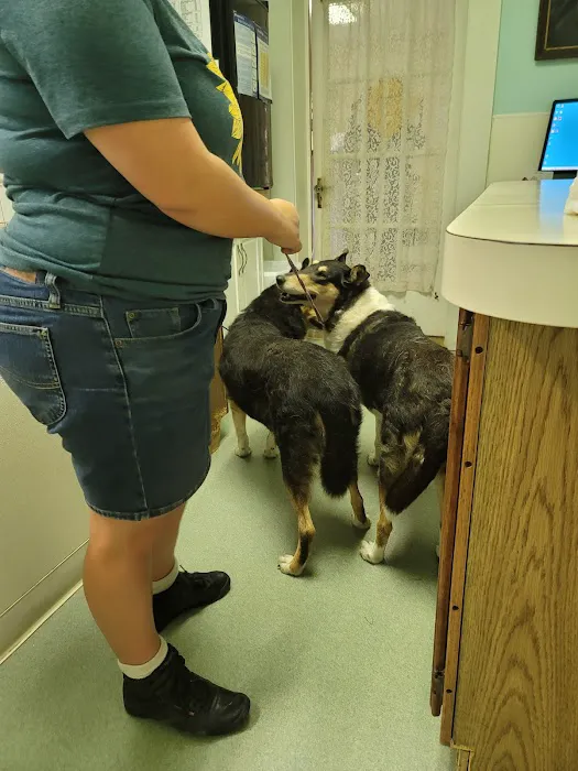 X-Way Road Animal Hospital 8