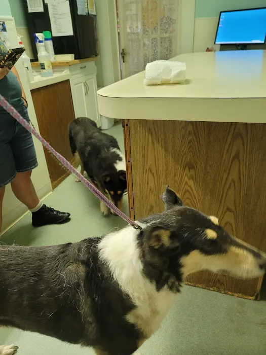 X-Way Road Animal Hospital 3