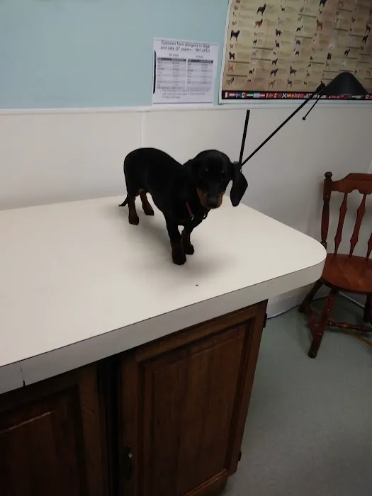 X-Way Road Animal Hospital 2