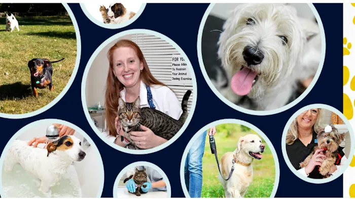 Raeford Animal Hospital 8