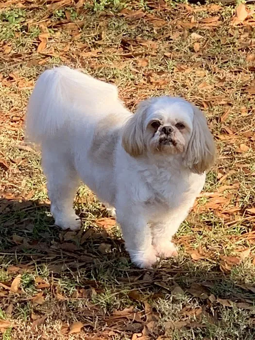 Academy Animal Hospital of Laurinburg 6