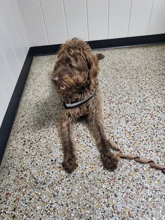 Academy Animal Hospital of Laurinburg 9