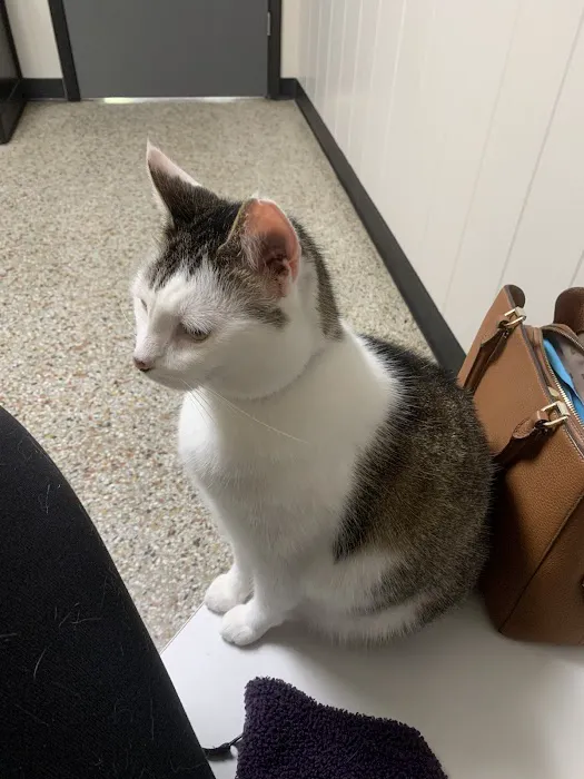 Academy Animal Hospital of Laurinburg 2