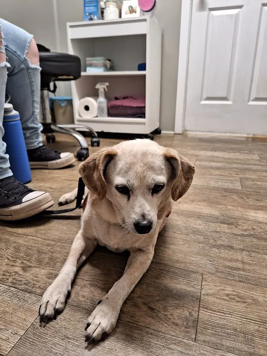 Marlboro Veterinary Services 1