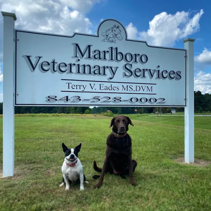 Marlboro Veterinary Services 4