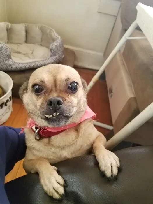 Marlboro Veterinary Services 7
