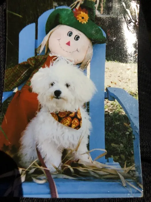 Marlboro Veterinary Services 6
