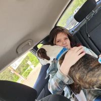 Stepping Stone Animal Society ico