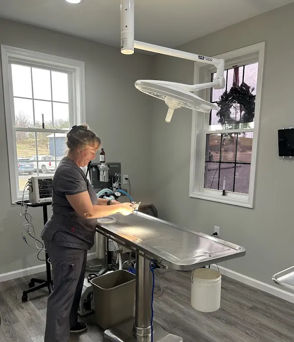 Augusta Animal Hospital 1