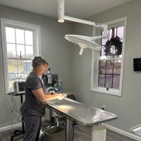 Augusta Animal Hospital ico