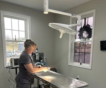 Augusta Animal Hospital