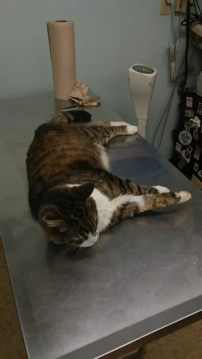 Augusta Animal Hospital 3