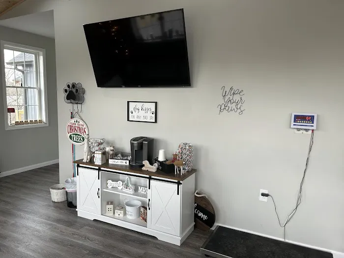 Augusta Animal Hospital 7