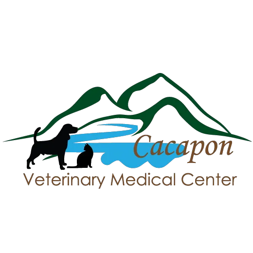 Cacapon Veterinary Medical Center 3