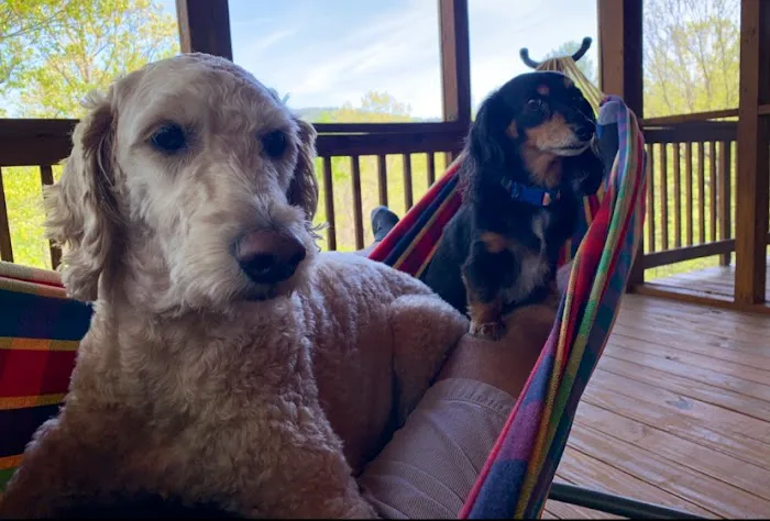 Cacapon Veterinary Medical Center 6