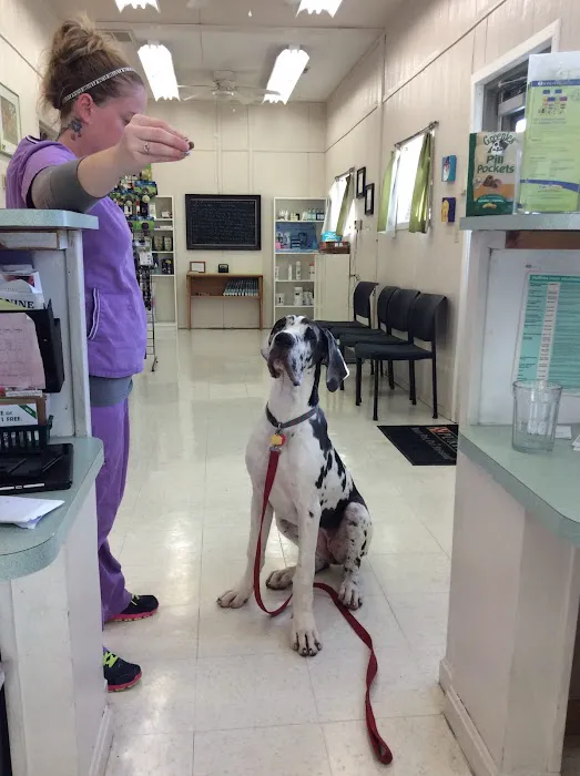 Cacapon Veterinary Medical Center 5