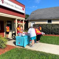 Johnstown Veterinary Associates - Johnstown ico