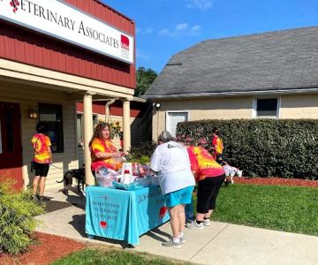 Johnstown Veterinary Associates - Johnstown