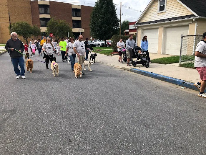 Johnstown Veterinary Associates - Johnstown 8