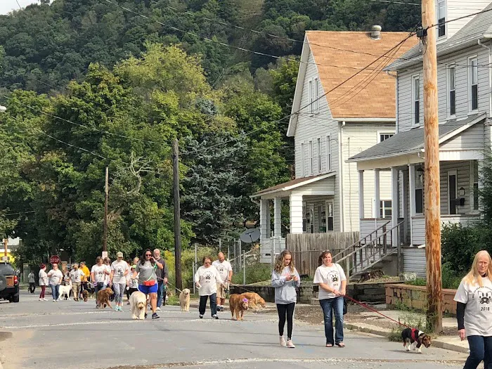 Johnstown Veterinary Associates - Johnstown 6
