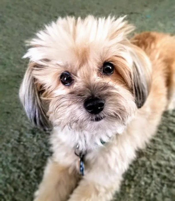 Forest Hills Veterinary 3