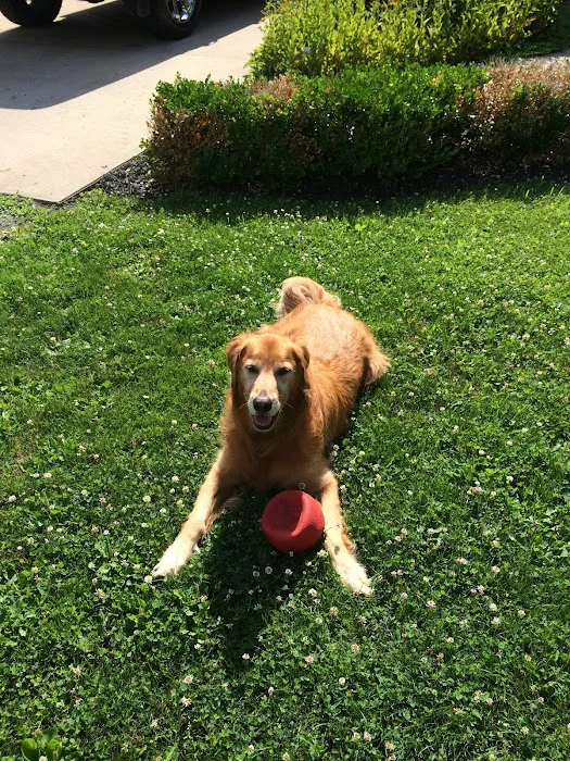 Forest Hills Veterinary 6