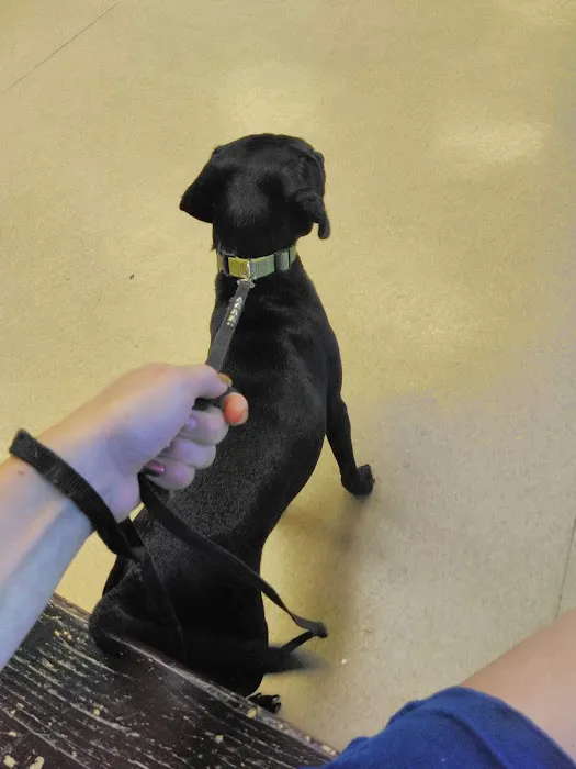 Forest Hills Veterinary 1