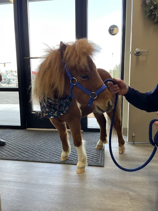 Johnstown Veterinary Associates - Ebensburg, North Campus 6