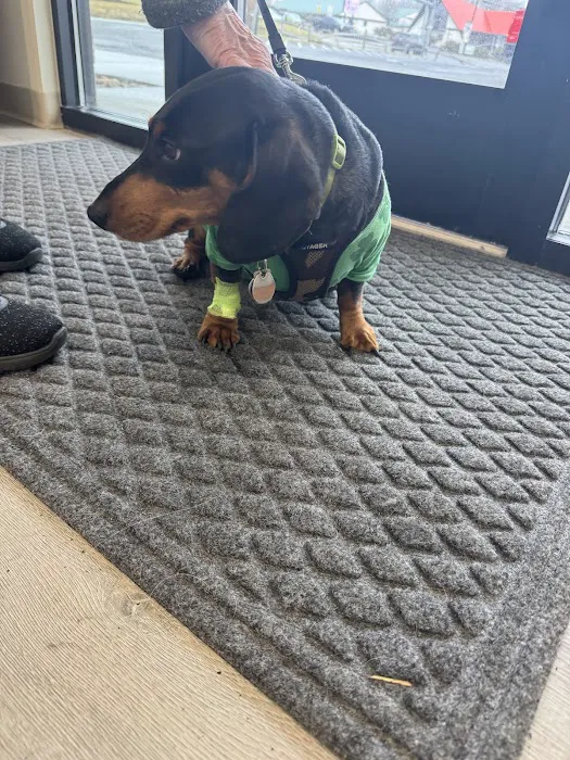Johnstown Veterinary Associates - Ebensburg, North Campus 10