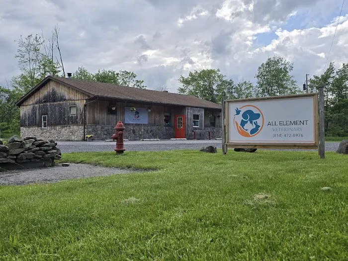 All Element Veterinary (formerly Hilltop Animal Hospital) 2