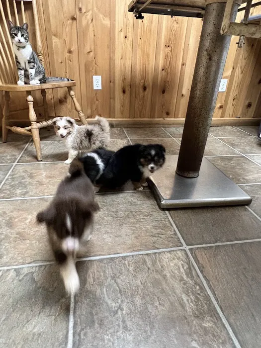Drummond Animal Hospital 6