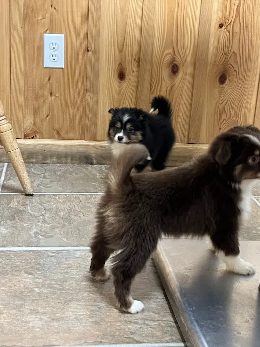 Drummond Animal Hospital 10