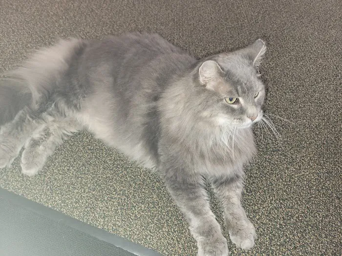 Drummond Animal Hospital 7