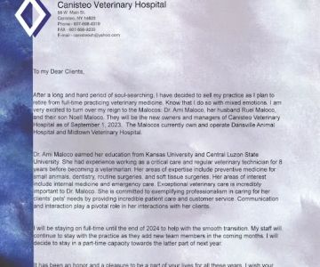 Canisteo Veterinary Hospital