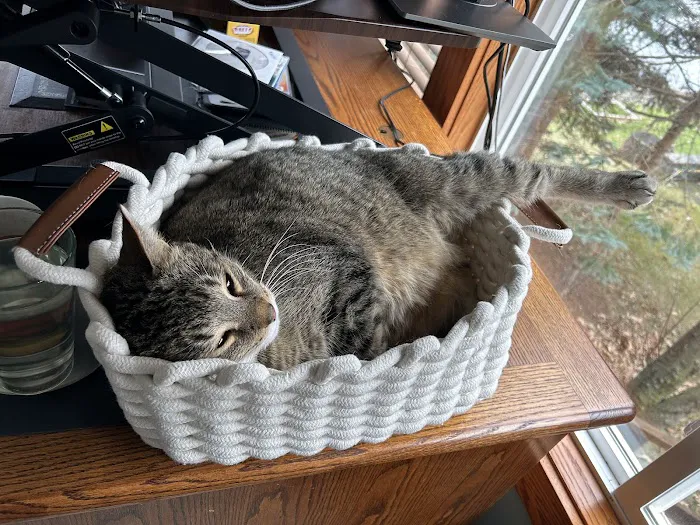 Perry Pet 5