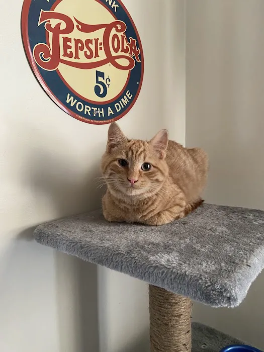 Livonia Veterinary Hospital 7