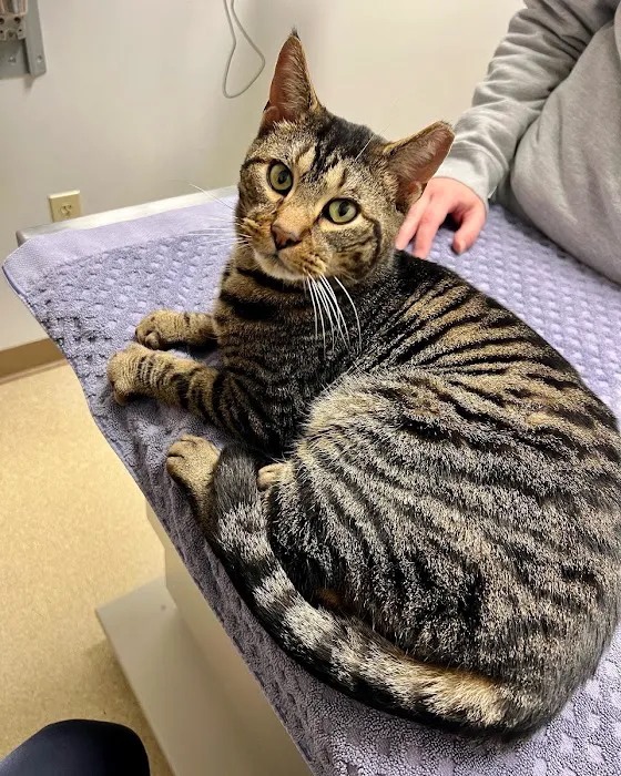 Livonia Veterinary Hospital 4