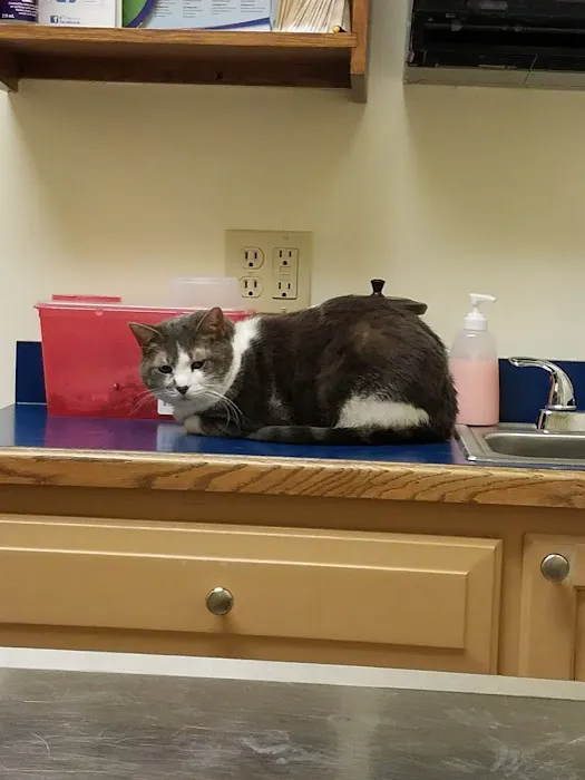 Livonia Veterinary Hospital 1