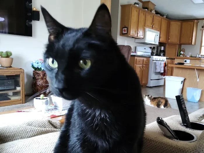 Livonia Veterinary Hospital 5